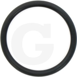 Hardi 24266600 Oring 38x4 70SH.NITR