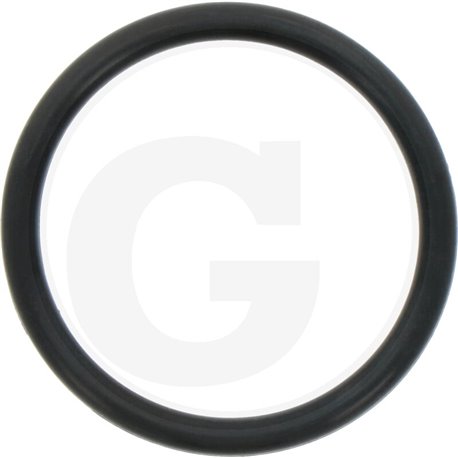 Hardi 24266600 Oring 38x4 70SH.NITR