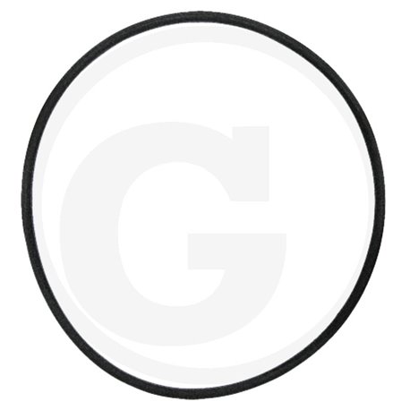 Hardi 240962 Oring