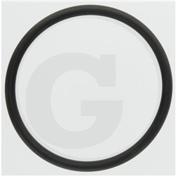 Hardi 241006 O-ring