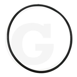 Hardi 241017 Oring