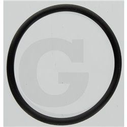 Hardi 241673 O-ring