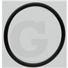 Hardi 241673 O-ring