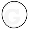 Oring 73,03x3 Viton