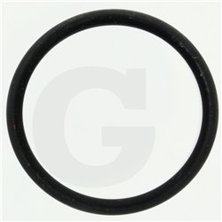 Hardi 242021 O-ring