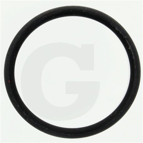 Hardi 242021 O-ring