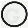 Hardi 242021 O-ring