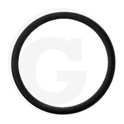 Hardi 242594 Oring