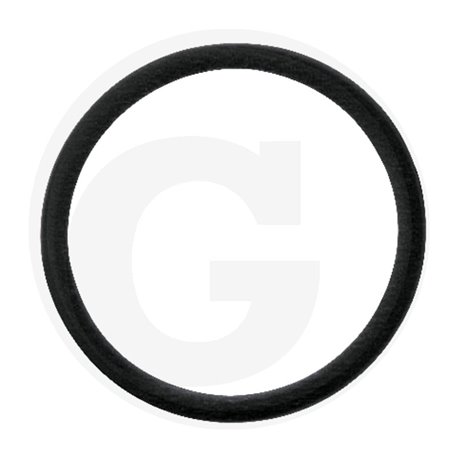 Hardi 242594 Oring