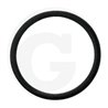 Hardi 242594 Oring