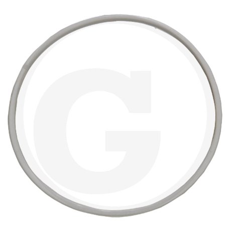 Hardi 332496 Oring