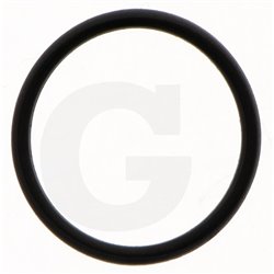 Hardi 241894 O-ring