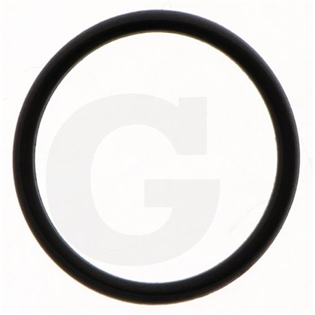 Hardi 241894 O-ring
