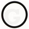Hardi 241894 O-ring