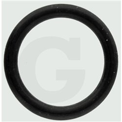 Hardi 242167 Uszczelka