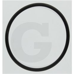Hardi 242196 O-ring
