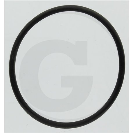 Hardi 242196 O-ring