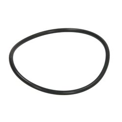 Carraro 028205