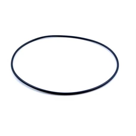 Oring 828/00369