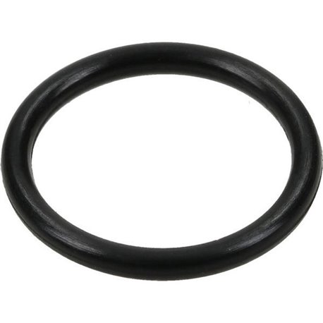 Oring 828/00236 (10szt)