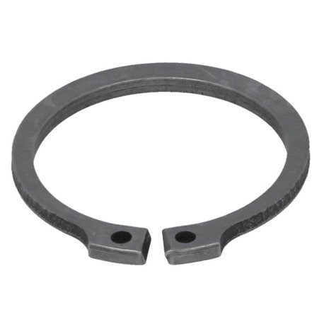 ZF 0730.501.650 Zabezpieczenie wałka głównego mech. skrzyni biegów 0730501650