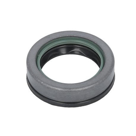 ZF 0734.309.427 Uszczelniacz piasty 0734309427