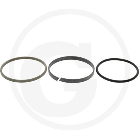 Fendt23F931860030060 Zestaw uszczelek dla tłoka z cylindra wyciskowego4059139429240
