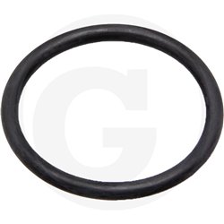 O-ring
