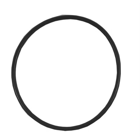 Oring 170x5 90 Shore (160-15) 