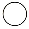 Hypro 1720-0294 Oring (8)