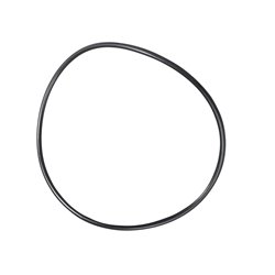 Hypro 1720-0292 Oring (5)