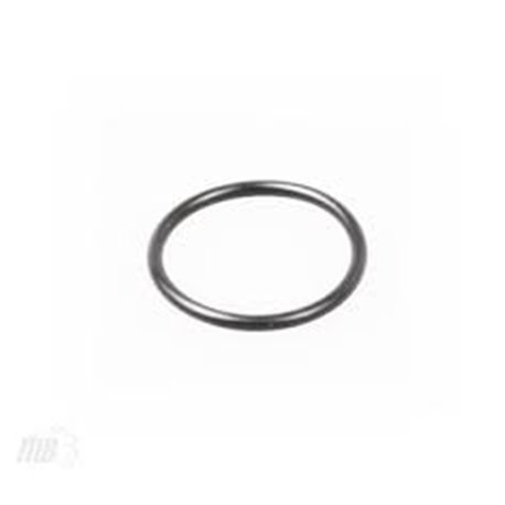 Hypro 1720-0262 Oring (38)