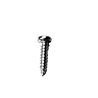 Hypro 2210-0145 Diffuser Mounting Screw (short) (8)