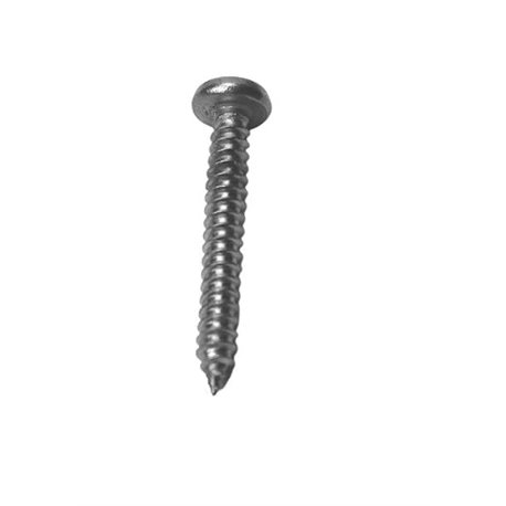 Hypro 2210-0144 Diffuser Mounting Screw (long) (9)
