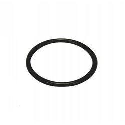 Hypro 1720-0209 Oring (10)