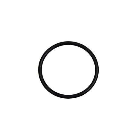 Oring 160x3