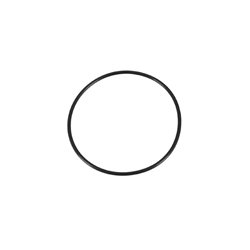 Oring 55x2