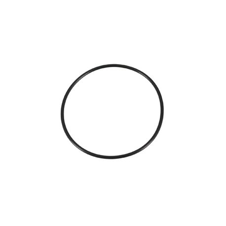 Oring 55x2