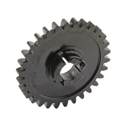 Hassia 4552702 Koło zębate Lemken