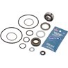 Hypro 3430-0748 Zestaw uszczelek silnika 2500- Hypro