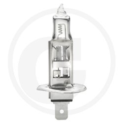 HELLA Żarówka, H1, 24 V, 70 W 