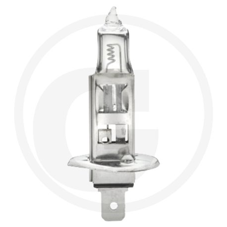 HELLA Żarówka, H1, 24 V, 70 W 
