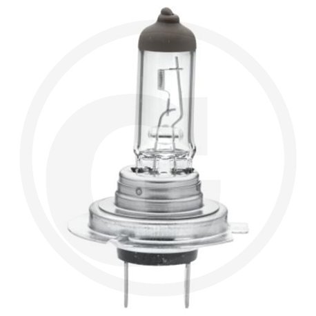 HELLA Gluehlampe H7 