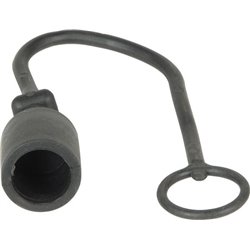 Dust cap plug