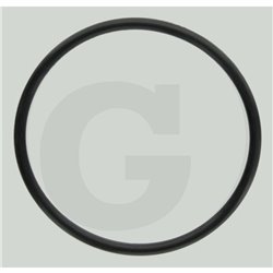 O-ring