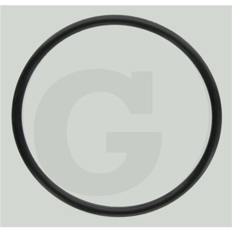O-ring