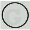O-ring