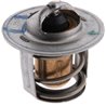 Kubota 1553173014 Termostat