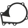 Kubota 1623973430 Uszczelka pompy wody