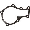 Kubota 1687173430 Uszczelka pompy wody, D722